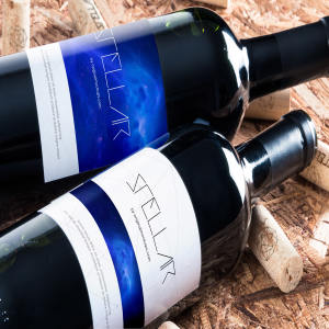 葡萄酒洋酒酒瓶外观标签设计样机模板04 Wine Bottle Mockup 04