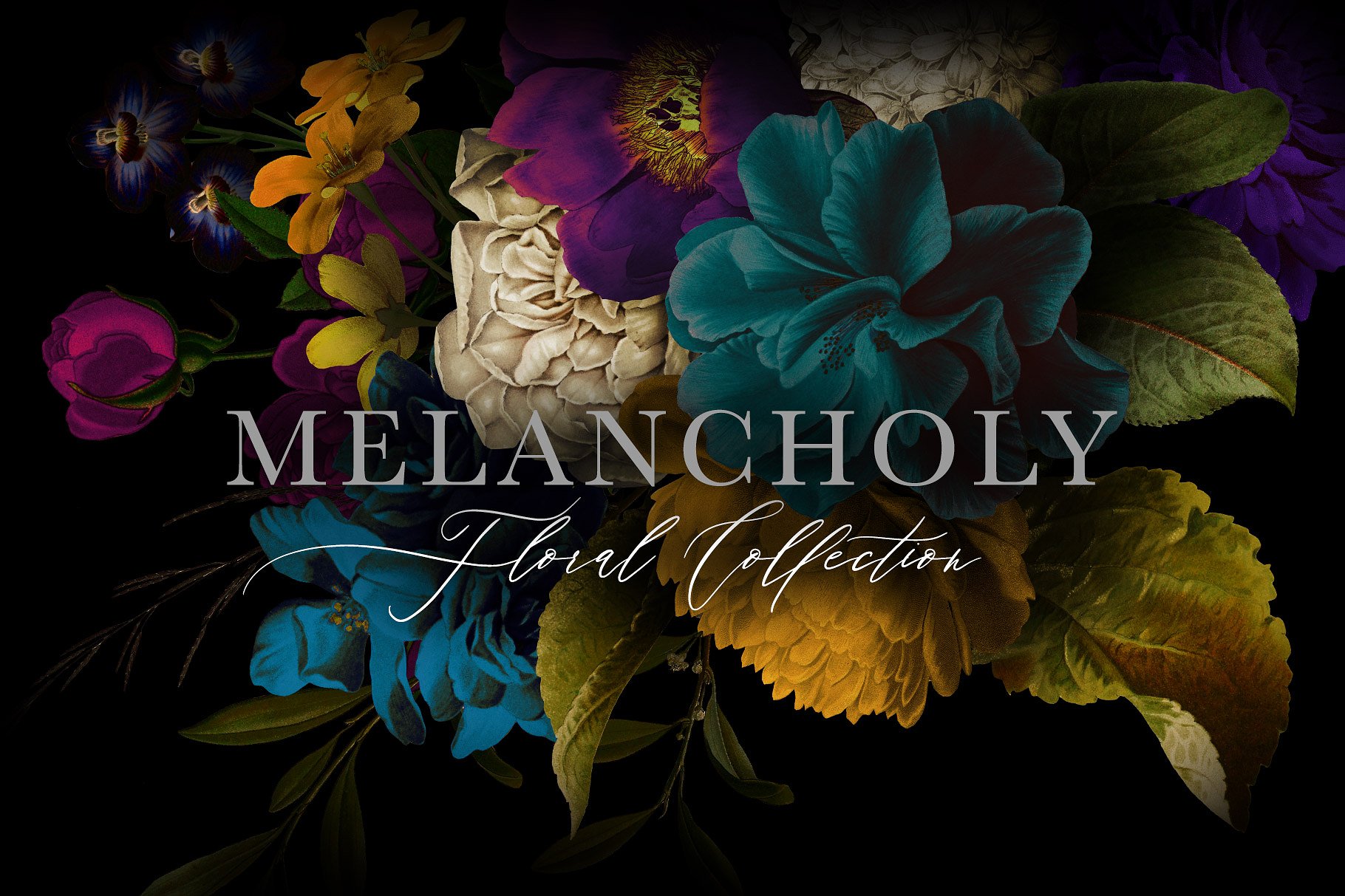 忧郁格调花卉插画合集 Melancholy Floral Collection