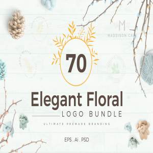 70款优雅花卉装饰标志设计模板素材 70 Elegant Floral Logo Pack