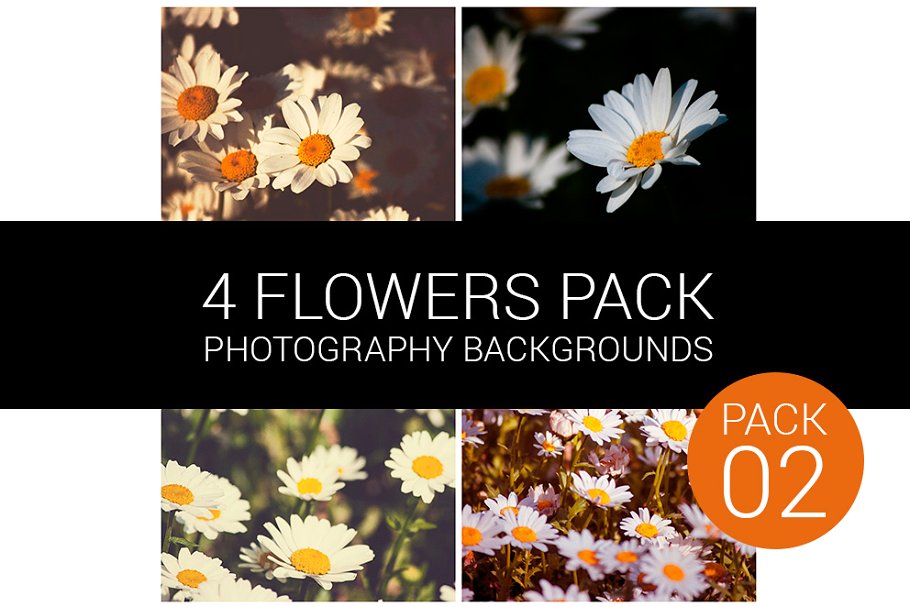 百色小雏菊花束背景图案Vol.2  Flower Pack 02