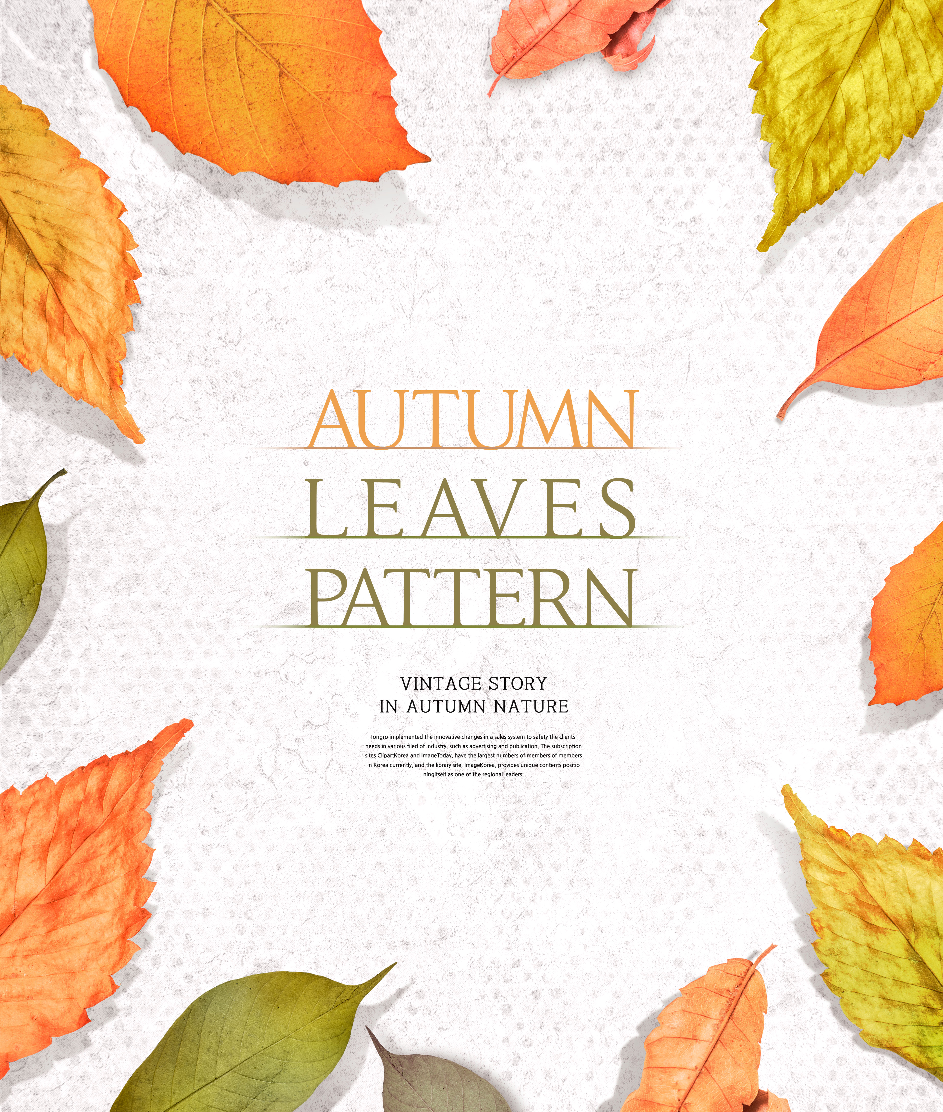 秋天叶子图案海报素材合集