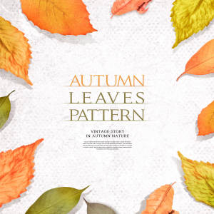 秋天叶子图案海报素材合集
