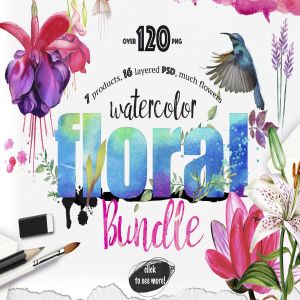 水彩花卉插画元素大合集 Watercolor Bundle over 120 PNG