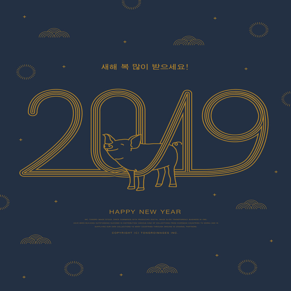 2019猪年创意图形与数字海报模板合集 PSD