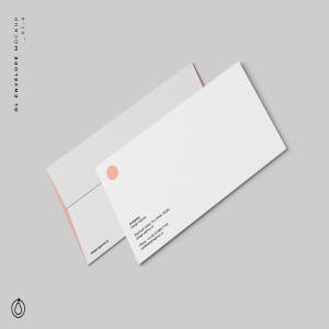 标准DL信封设计图样机PSD模板 Standard DL Envelope Mockup