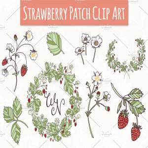 草莓色植物花卉矢量图形 Strawberry Patch Clip Art & Vectors