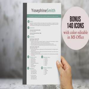 2合一带边栏简历模板 Left bar 2 in 1 resume template