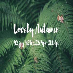 可爱秋天主题高清照片素材 Lovely autumn photo bundle