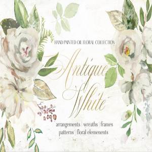 复古白色手绘花卉设计素材 Antique White Hand Painted Flowers