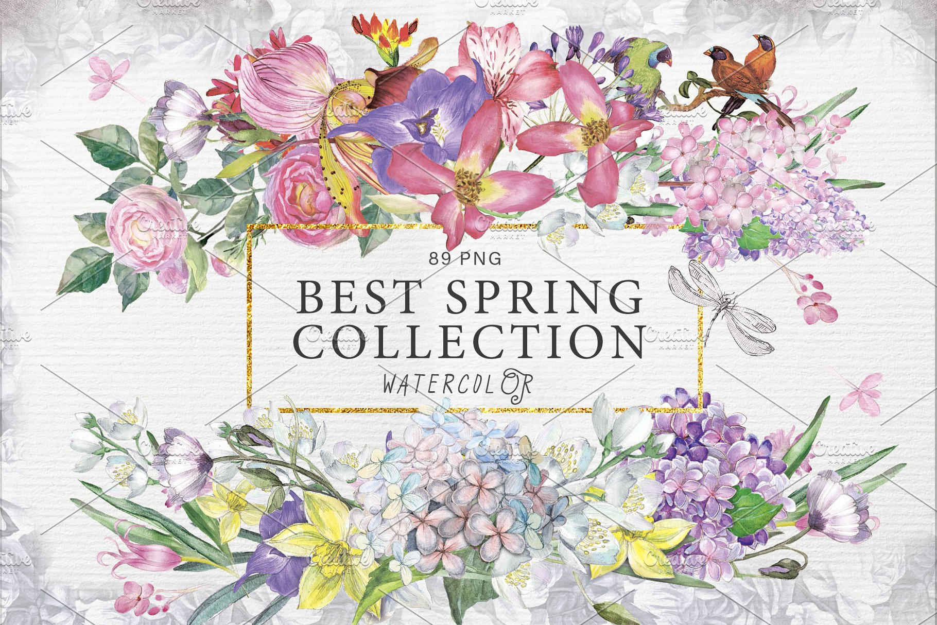 春之花水彩花卉大合集[1.3G] BEST SPRING FLOWERS