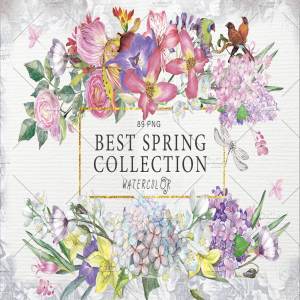 春之花水彩花卉大合集[1.3G] BEST SPRING FLOWERS