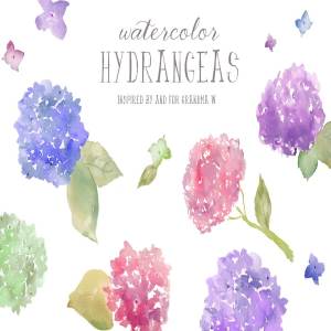 可爱的蓝色水彩绣球花剪贴画 Watercolor Clip Art- Hydrangeas