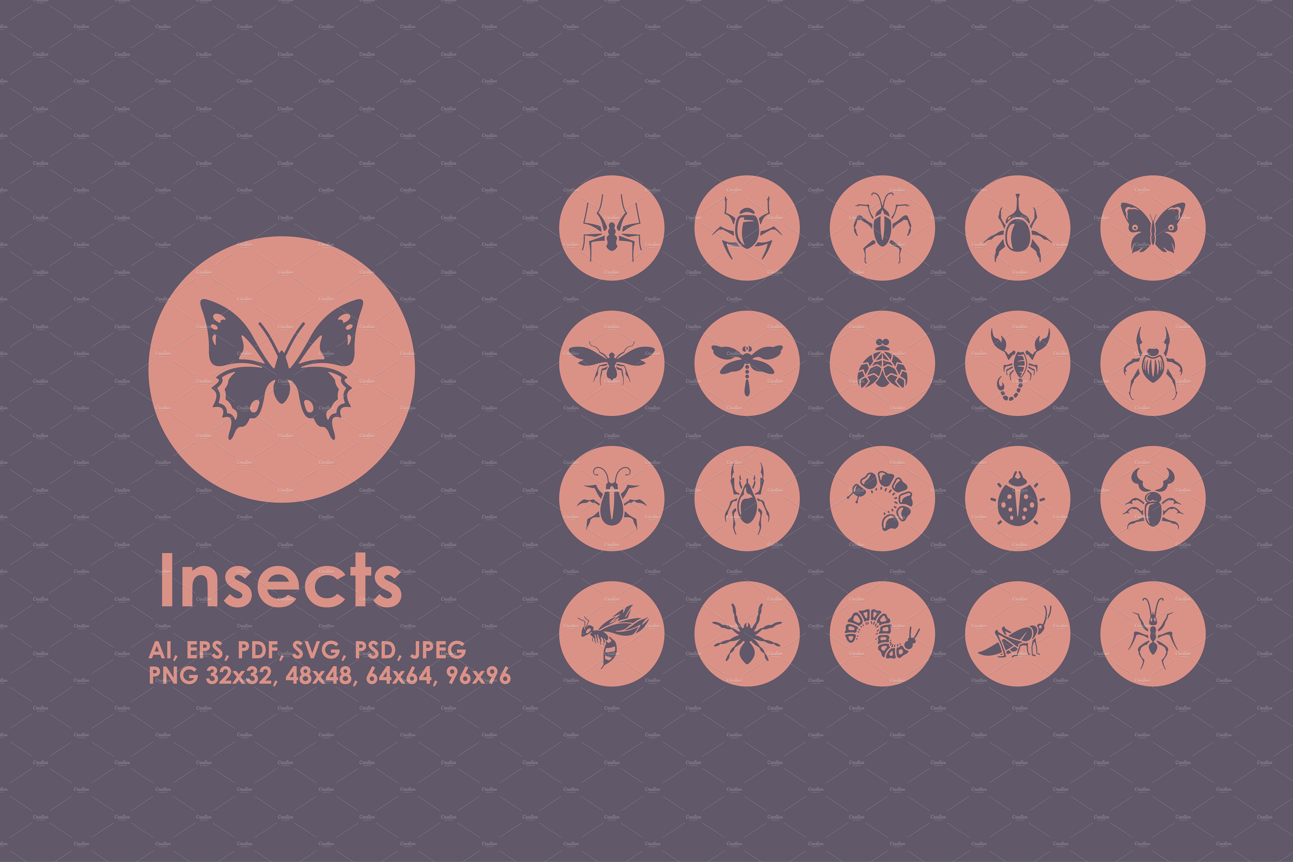 一组常见昆虫图标  Insects icons