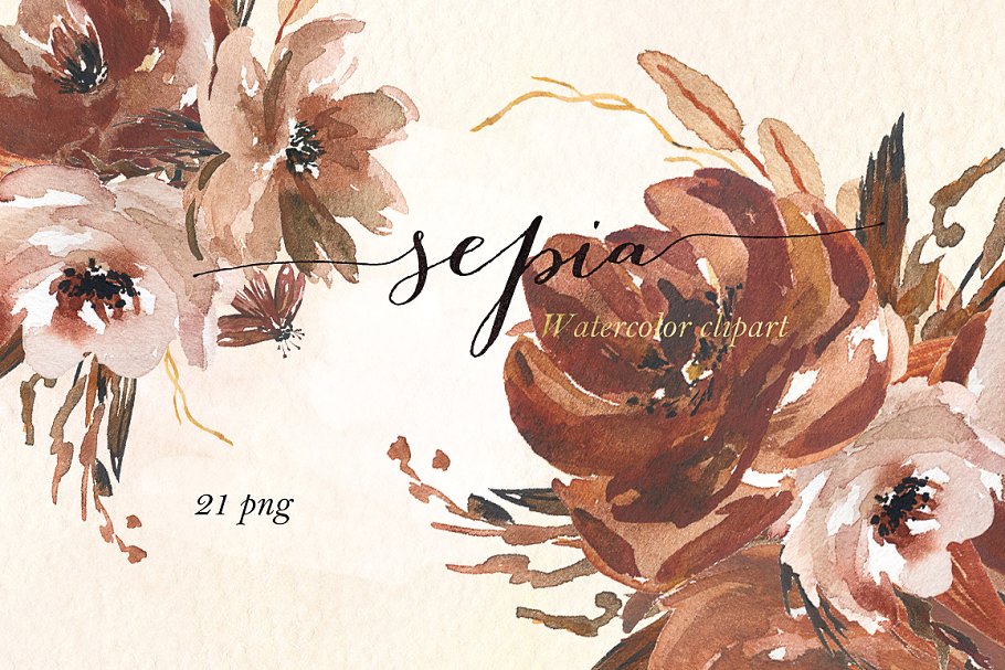 深暖色调棕色奶油粉艺术花卉插图 Sepia flowers. Watercolor clipart