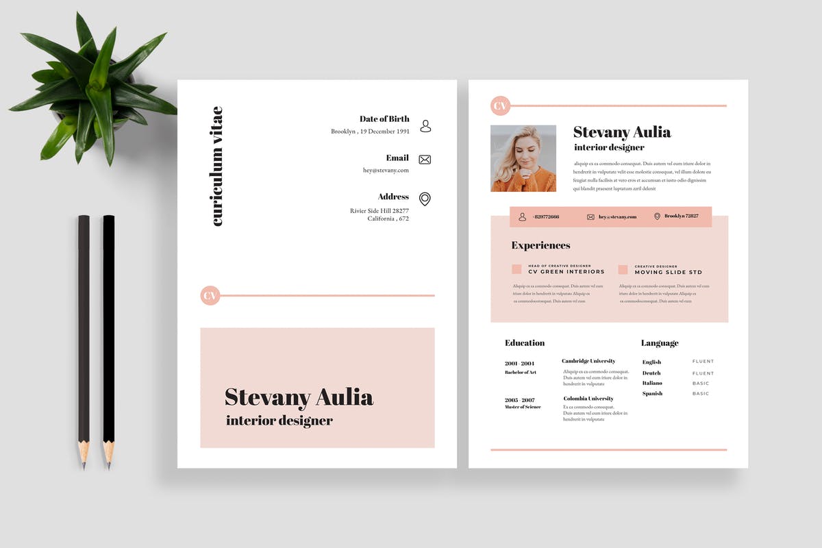 极简主义个人应聘求职简历模板V12 Clean Resume / CV 12