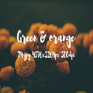 橙黄色花卉高清照片素材 Green and orange photo bundle