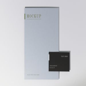 简约时尚清新海报和名片样机VI展示模型mockups