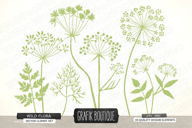 野生草本花卉矢量剪贴画 Wild Herbs Flowers silhouette vector