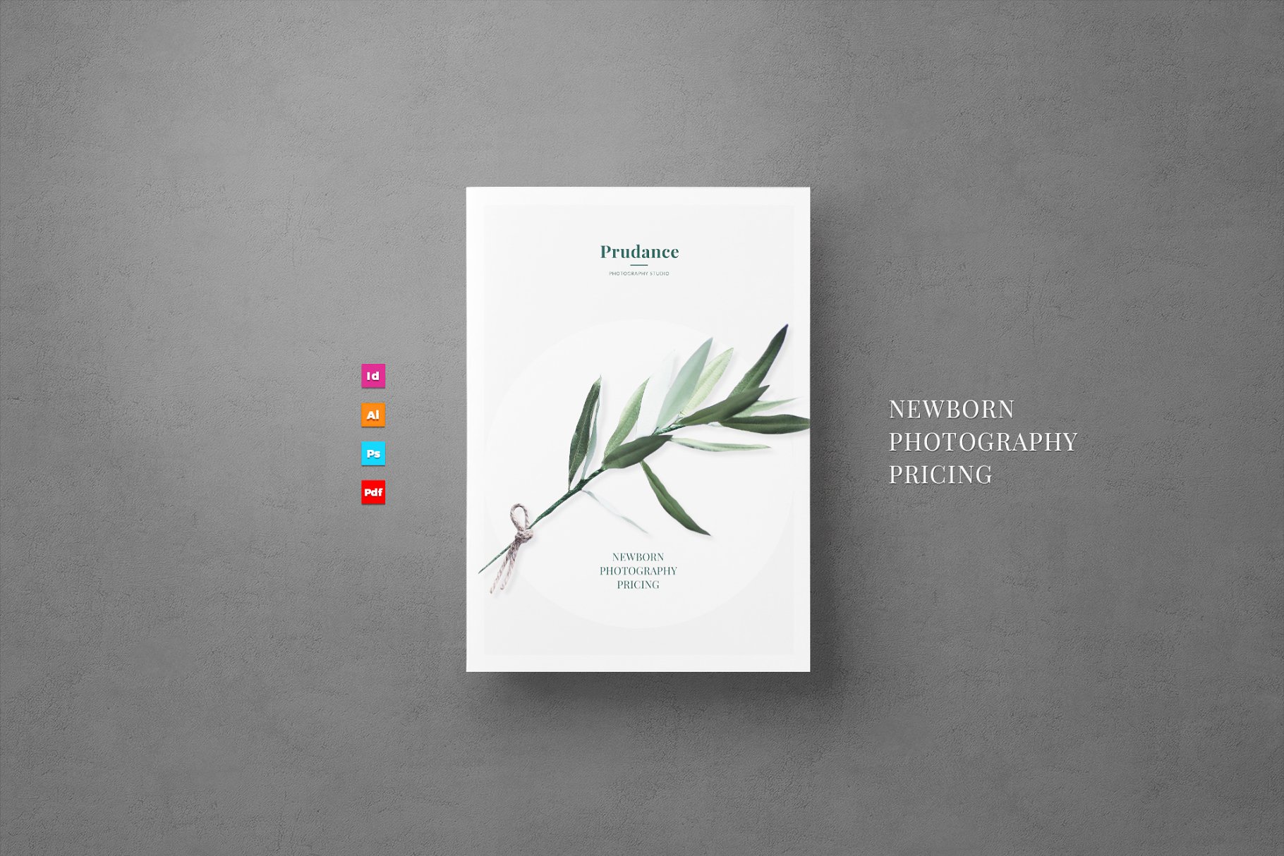 新生婴儿艺术照摄影套餐传单模板 Newborn Pricing Flyer