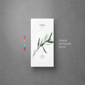 新生婴儿艺术照摄影套餐传单模板 Newborn Pricing Flyer