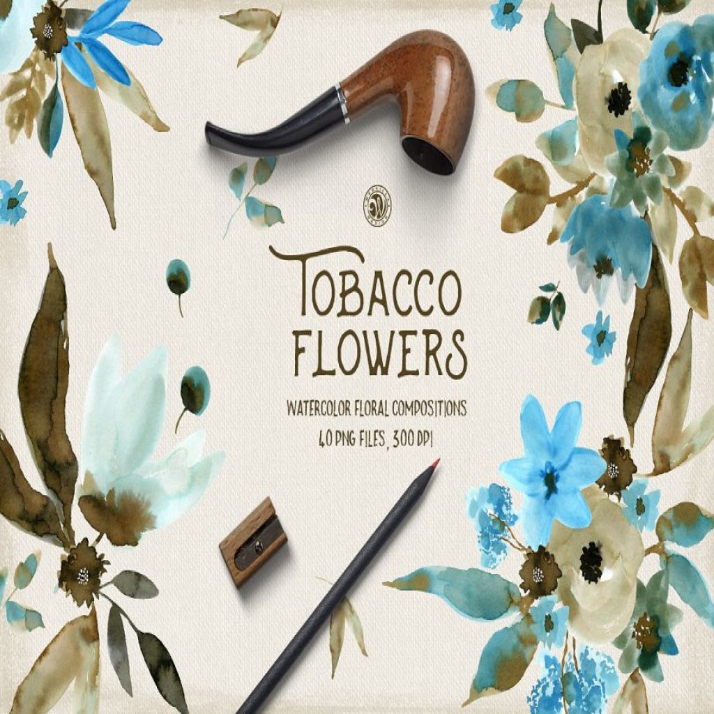 水彩烟草花花卉剪贴画素材集tobacco Flowers 一流设计网