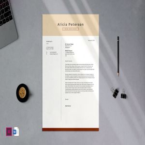 专业个人履历表设计模板v03 Professional CV Resume – 03