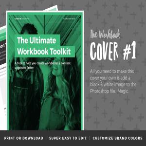 公司产品咨询调查问卷模板 Workbook Toolkit Vol 3插图2