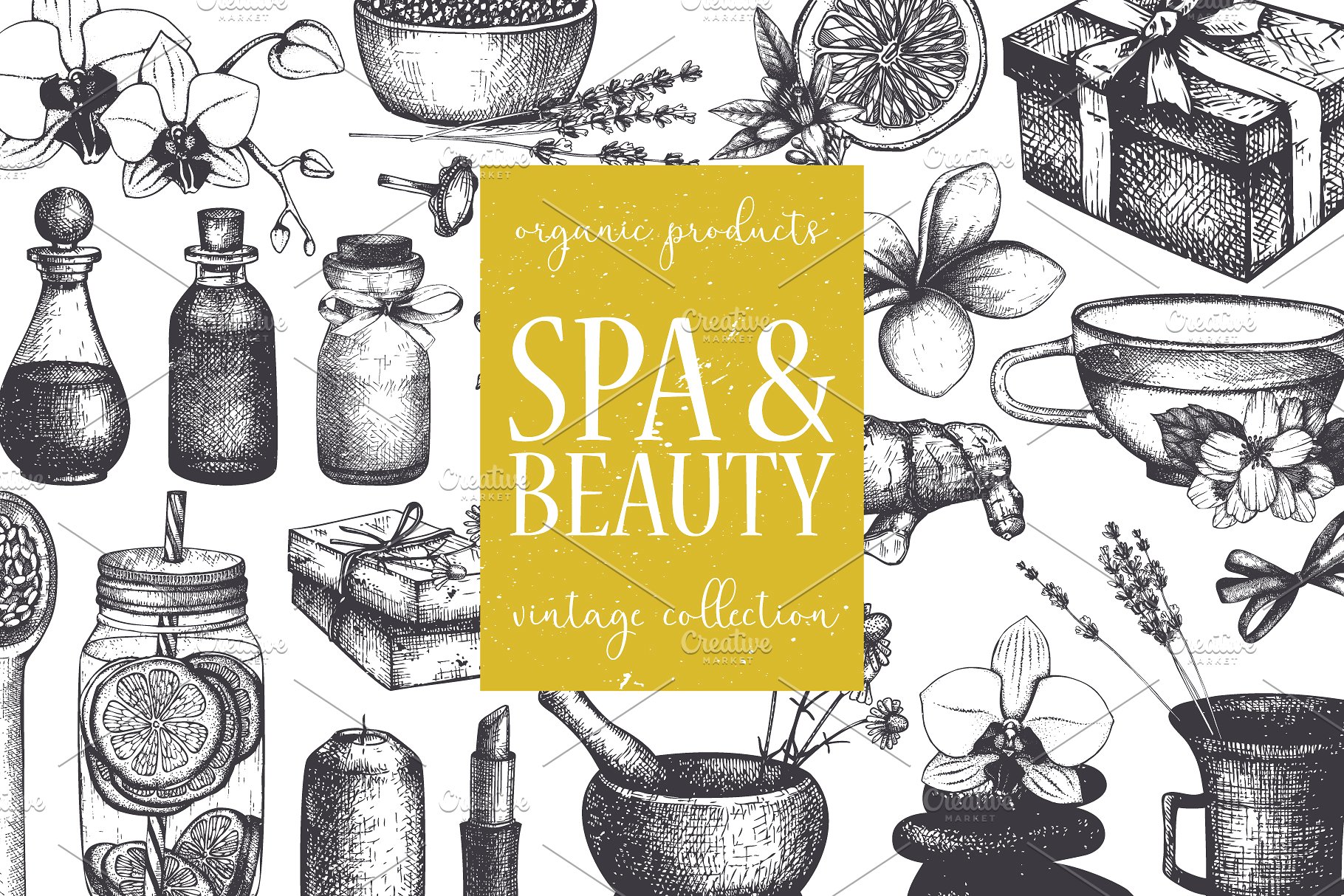 西方美容美妆设计素材 Beauty & SPA Designs Collection