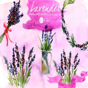 紫色水彩薰衣草插画设计素材 Lavender Set- Watercolor Clip Art