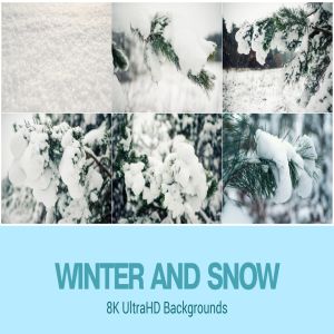 8K超高清落雪积雪高清照片背景素材 8K UltraHD Winter Theme Backgrounds