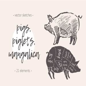 钢笔素描猪图形 Illustrations of pigs, piglets & etc