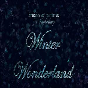冰雪奇缘冬天主题纹理&笔刷合集[雪花、冰花&闪光] Winter Wonderland for Photoshop