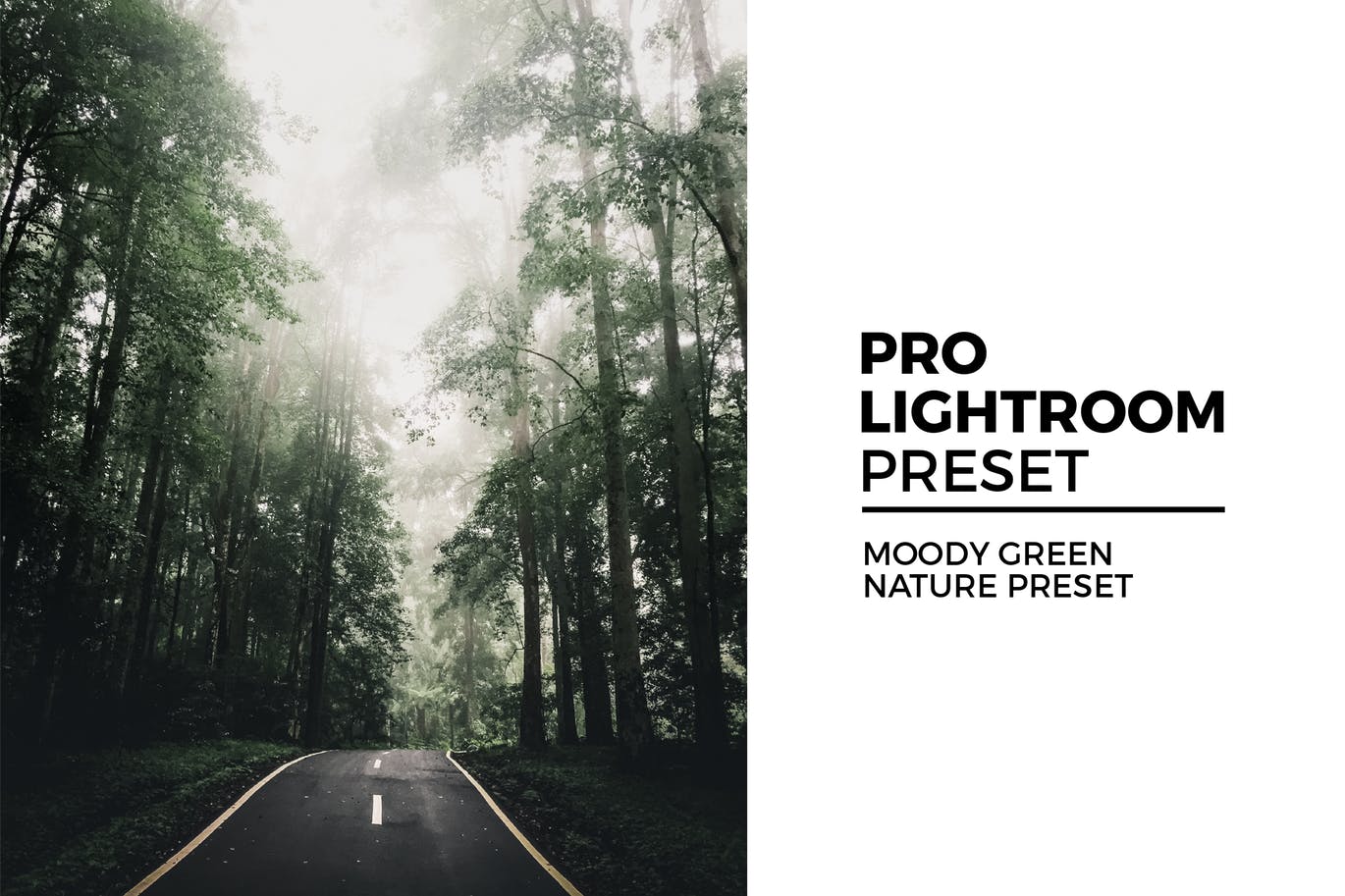 户外风景照片后期处理LR预设 Moody Green Nature Preset
