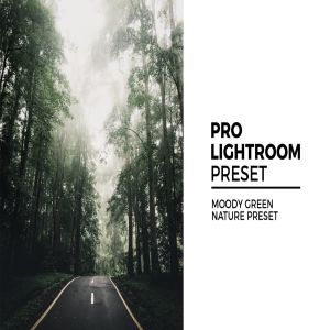 户外风景照片后期处理LR预设 Moody Green Nature Preset