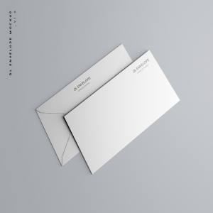 企业信封设计图样机模板 Baronial DL Envelope Mockup