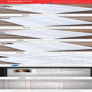 极简的简历模板