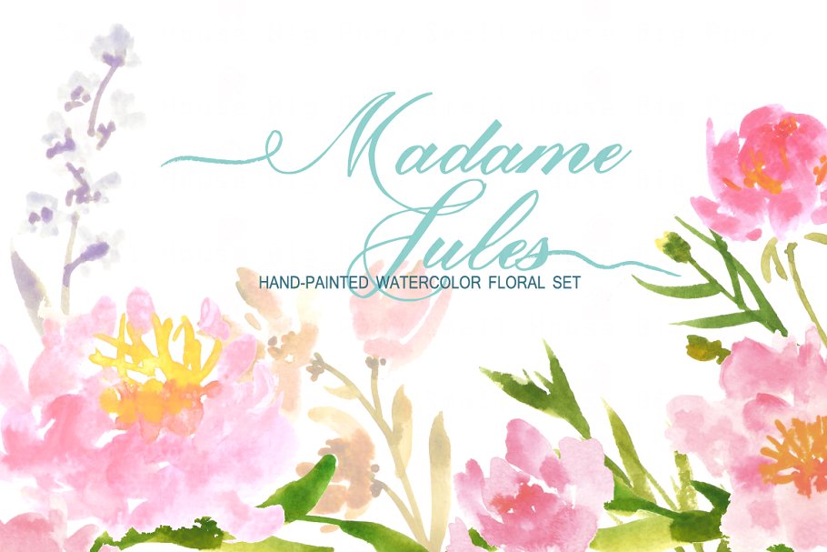 水彩艺术花卉元素插画 Madame Jules- Watercolor Clip Art
