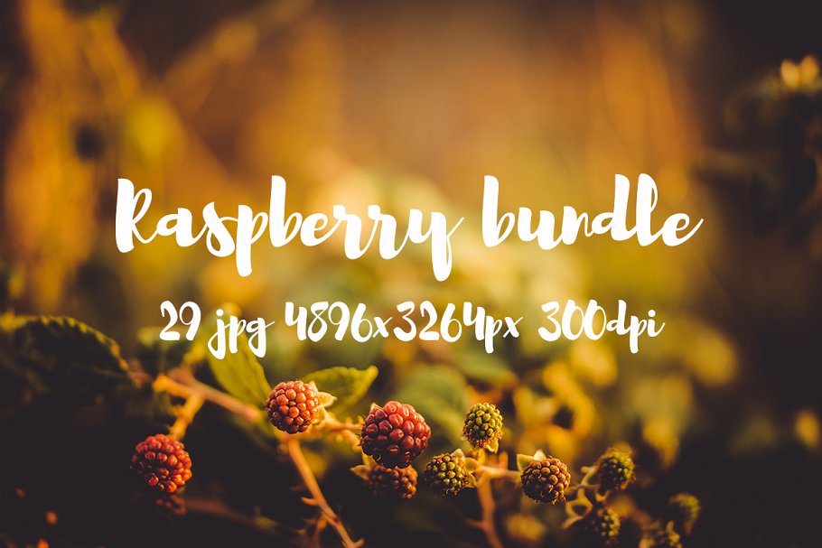 清新自然树莓高清图片素材 Raspberry photo pack