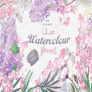 丁香花水彩手绘插图 “lilac”