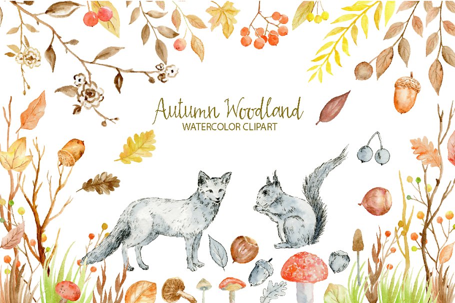 水彩秋季林地剪贴画合集 Watercolor Clipart Autumn Woodland