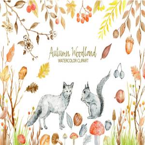 水彩秋季林地剪贴画合集 Watercolor Clipart Autumn Woodland
