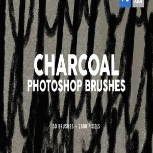 30款木炭纹理PS印章图案笔刷