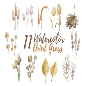 11款热带干草水彩剪贴画&装饰元素 11 Watercolor Dried Grass Illustration Graphics