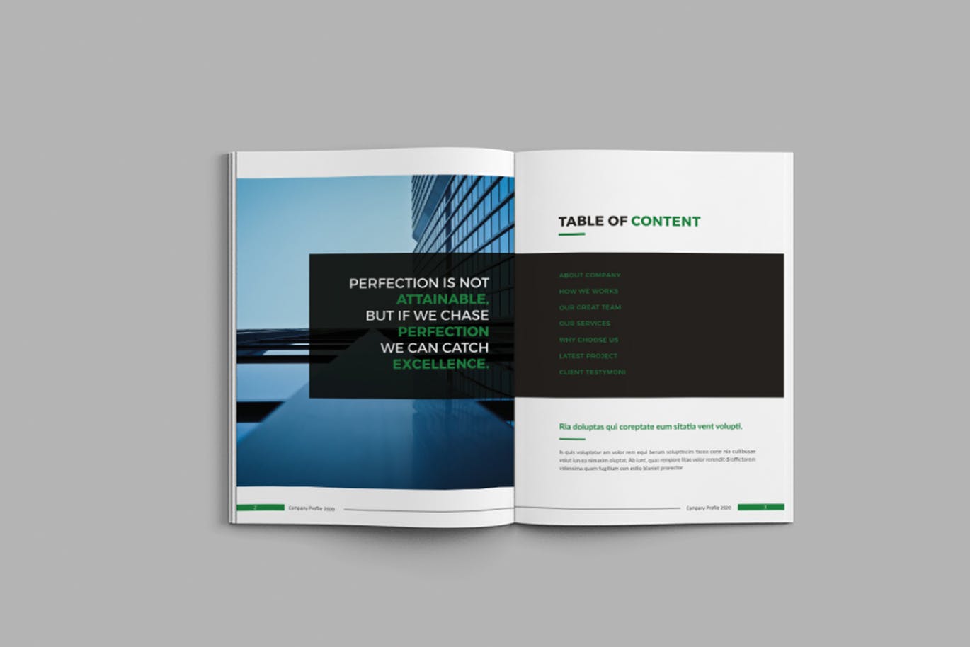 简约时尚多用途的高品质品牌手册房地产楼书画册时尚杂志设计模板（indd）