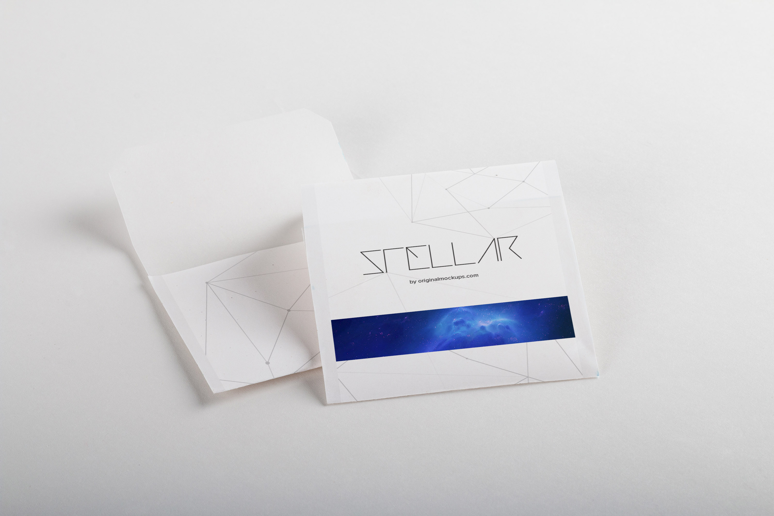 茶包茶叶包装设计效果图样机模板01 Tea Bags Mockup 01