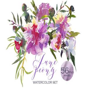 粉红牡丹水彩剪贴画合集 Pink Peony Watercolor Clip Art Set