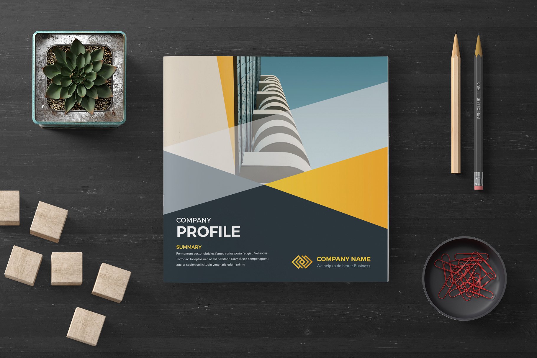 专业极简的公司简介画册模板下载 Company Profile Square [indd]