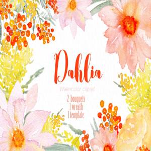 粉红色和橙色天竺牡丹水彩画素材 Pink & orange Dahlia Watercolors