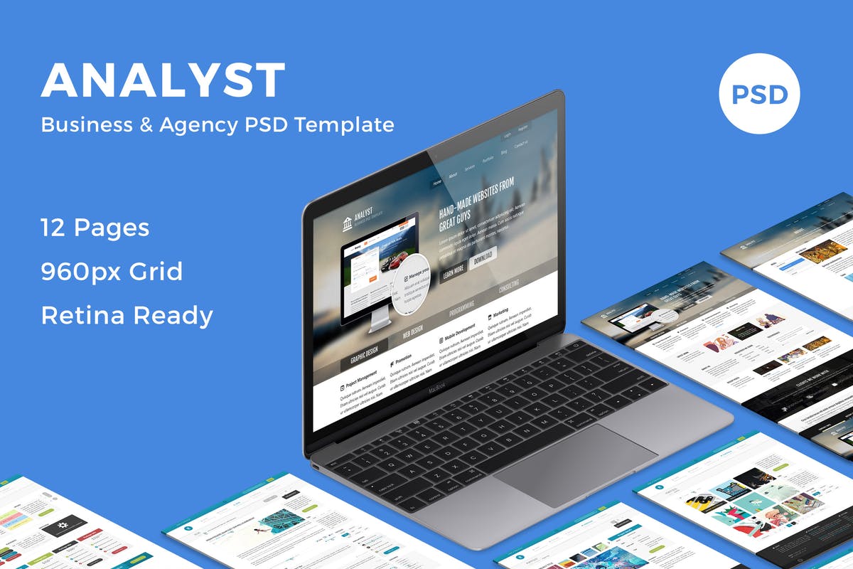 多用途商业网站设计PSD模板 Analyst – Business & Agency PSD Template