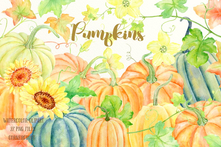 南瓜（藤、叶子&花）水彩剪贴画、纹理 Watercolour Clipart Pumpkins
